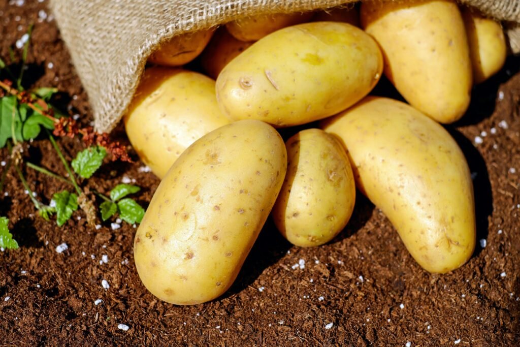 facts about potato